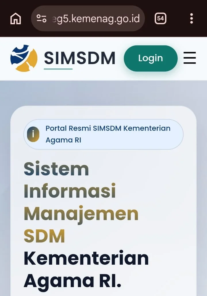SIMSDM